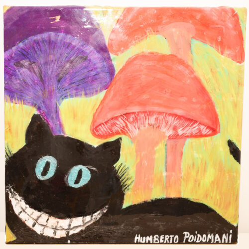 Mixed media artwork by Humberto Poidomani titled "Funghis Cat," acrylic on canvas with resin coating.